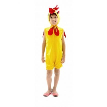 fantasia-de-galo-infantil-lezoo
