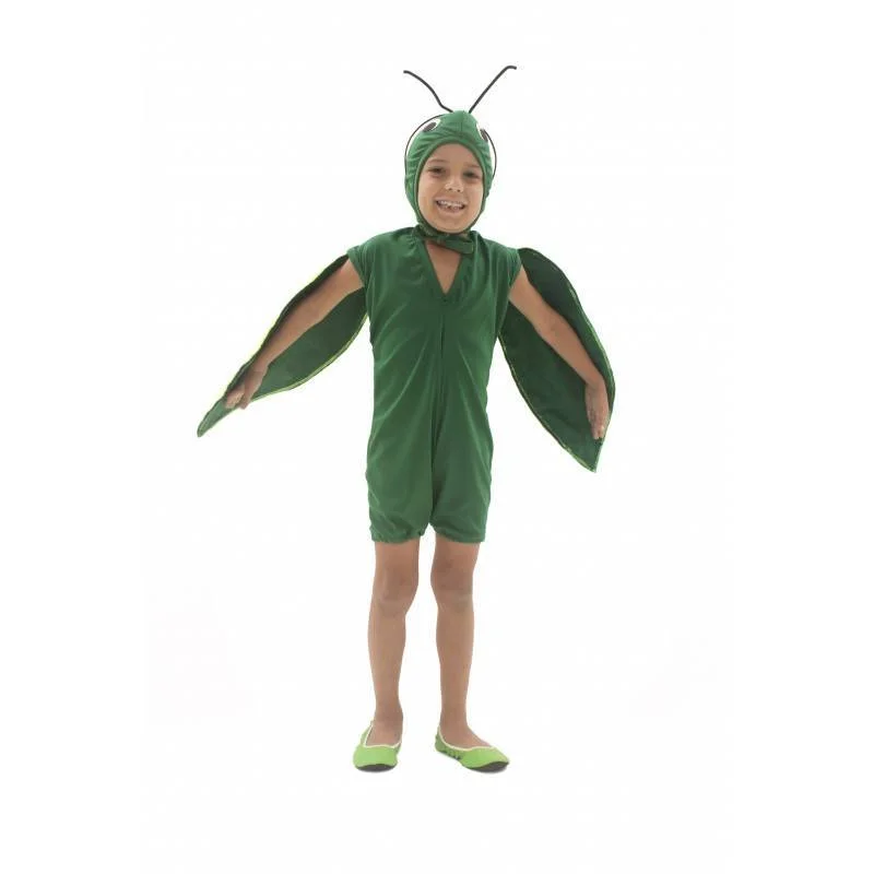 fantasia-de-gafanhoto-infantil-lezoo