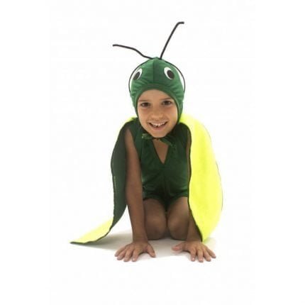 fantasia-de-gafanhoto-infantil-lezoo