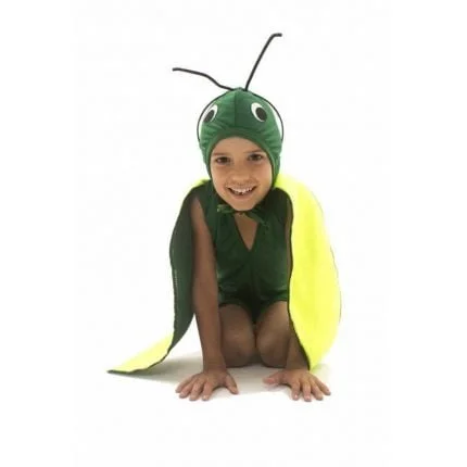 fantasia-de-gafanhoto-infantil-lezoo