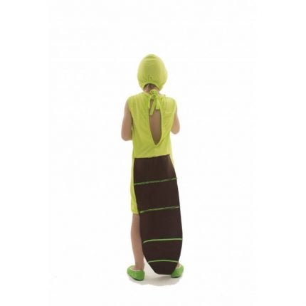 fantasia-de-lagarto-infantil-lezoo