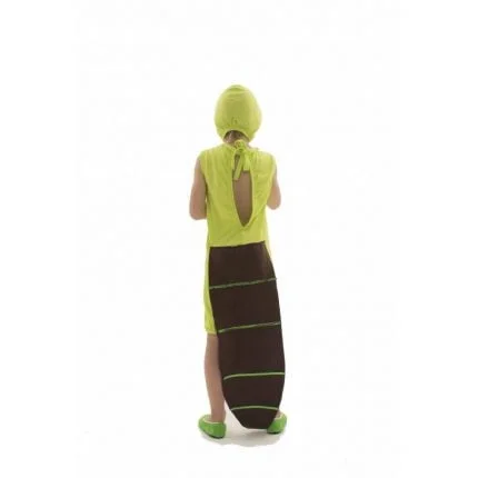 fantasia-de-lagarto-infantil-lezoo