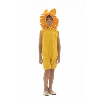 fantasia-de-leao-infantil-lezoo
