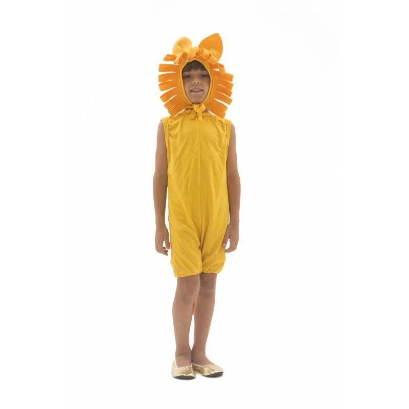 fantasia-de-leao-infantil-lezoo