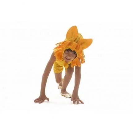 fantasia-de-leao-infantil-lezoo