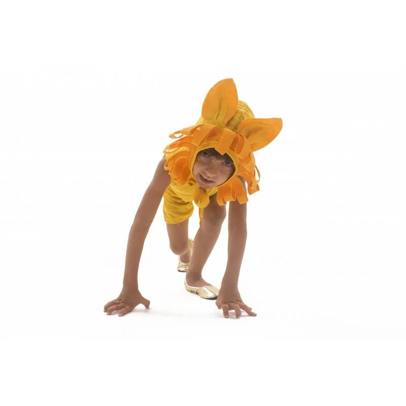 fantasia-de-leao-infantil-lezoo