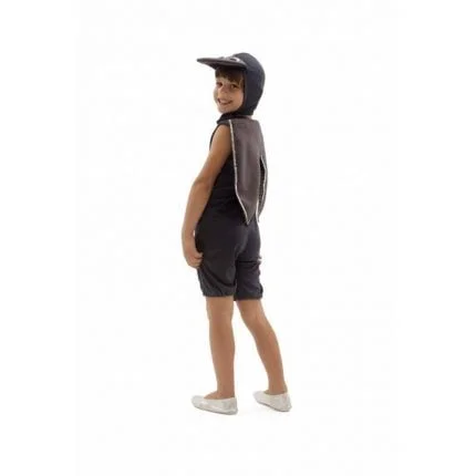 fantasia-de-mosquito-infantil-lezoo