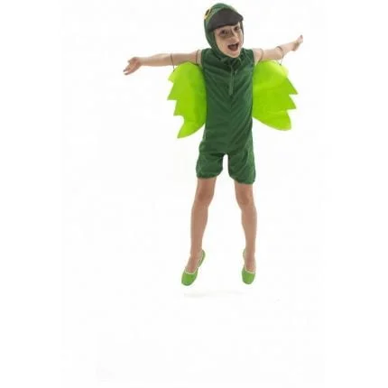 fantasia-de-papagaio-infantil-lezoo