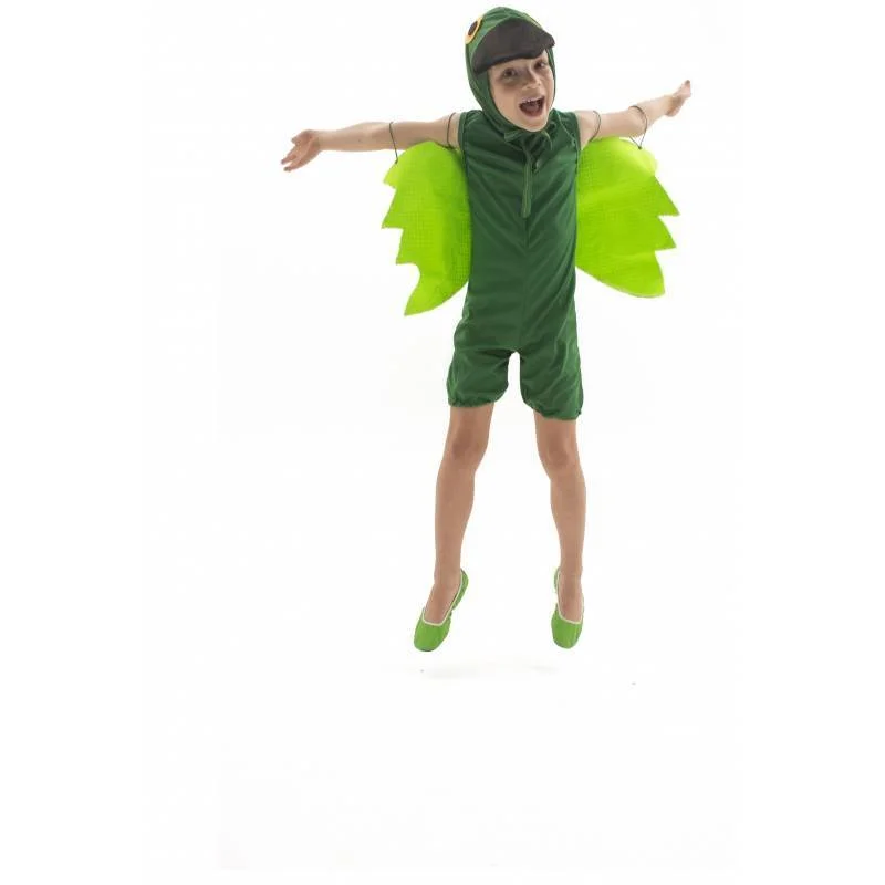 fantasia-de-papagaio-infantil-lezoo