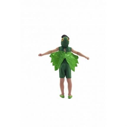 fantasia-de-papagaio-infantil-lezoo