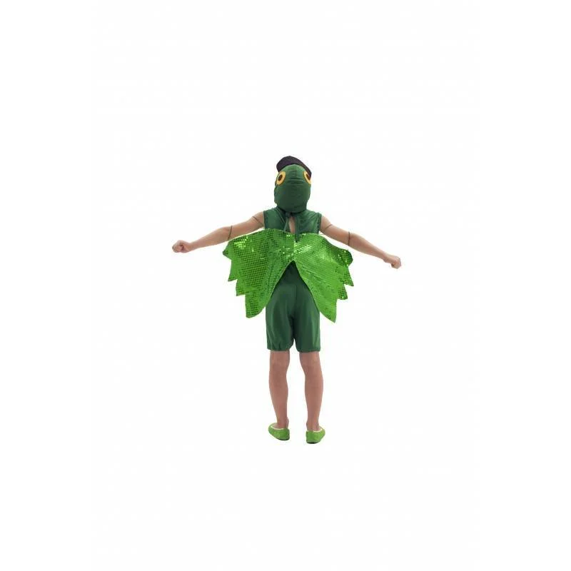 fantasia-de-papagaio-infantil-lezoo