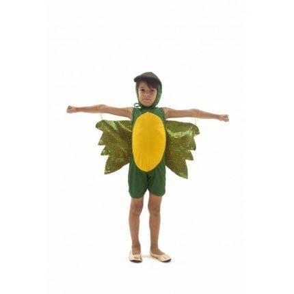 fantasia-de-periquito-infantil-lezoo